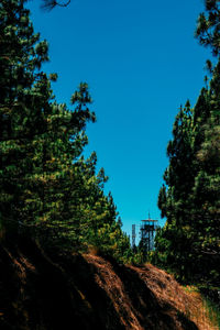 Low angle view of trees against clear blue sky