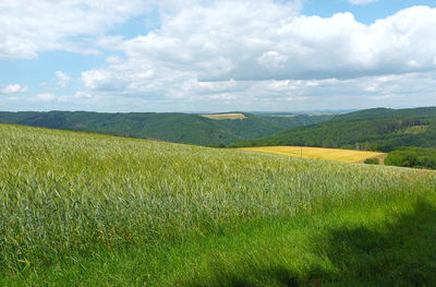 Scenic view of agricultural field against sky in german region hunsrück near morshausen