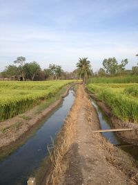 Canal amidst field against sky