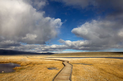 Golden path against dramatic sky