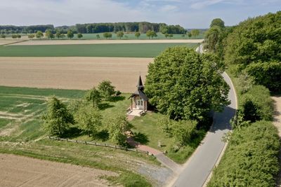 Trees on field by road against buildings