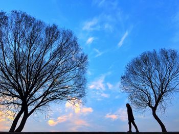 Low angle view of silhouette tree against blue sky