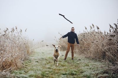 Dog chasing stick thrown by man on field