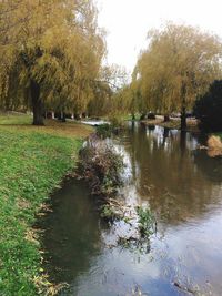 Scenic view of lake by trees against sky