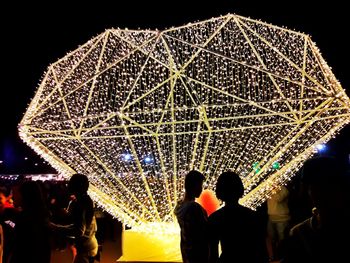 People in amusement park against sky at night