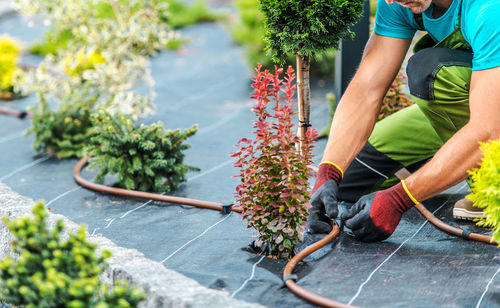 Man holding plant