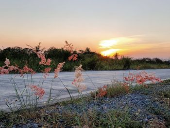 Scenic view of lake against sky during sunset