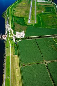 High angle view of agricultural field