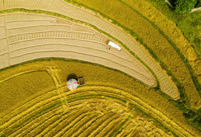 High angle view of woman working in farm
