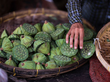 Close-up of man selling lotus pods