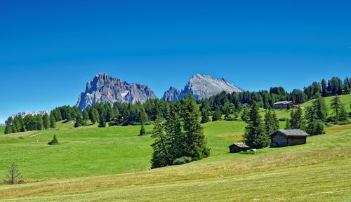 Scenic view of landscape against clear blue sky