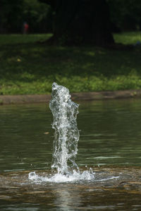 Close-up of water splashing on land