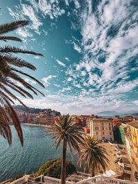 Palm trees by sea against sky