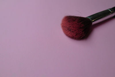 High angle view of pink petals on white background