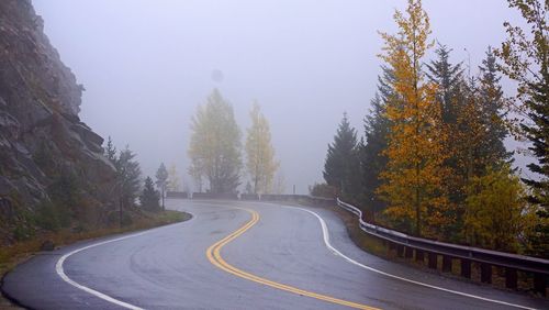 Road amidst trees against clear sky