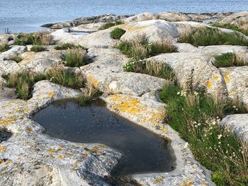 High angle view of rocks in sea