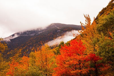 Scenic view of mountains during autumn against sky