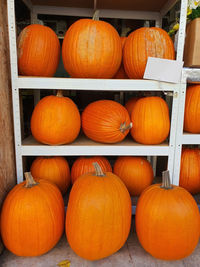 Medium size and big orange halloween pumpkins on shelves in store