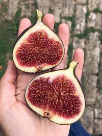 Hand holding one ripe fig