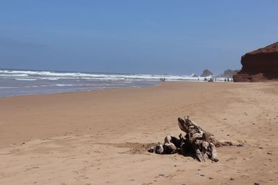 View of driftwood on beach against sky