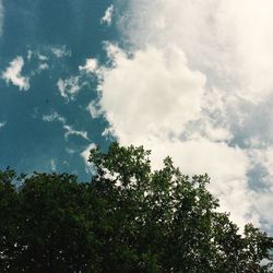 Low angle view of trees against cloudy sky