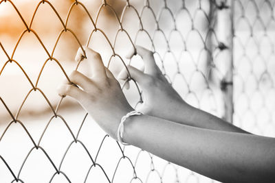 Close-up of hand holding chainlink fence against blurred background