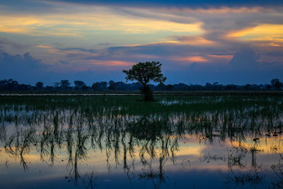 Scenic view of lake against sky at sunset