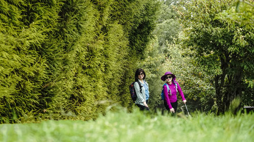 Hiking on the green forest