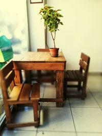 Potted plants on table at home