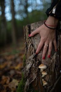 Cropped image of woman touching tree stump at forest