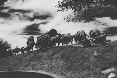 Bullock carts on field against sky