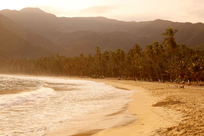 Scenic view of beach against mountains