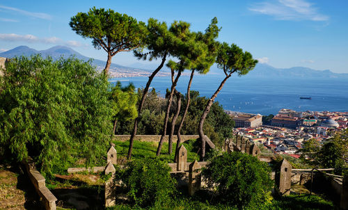 High angle view of trees and buildings against sky