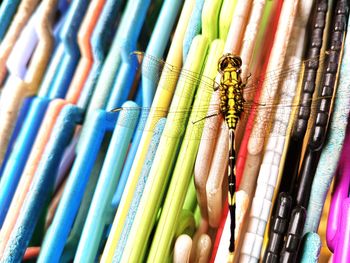 Full frame shot of colored pencils