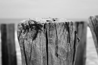 Close-up of wooden post