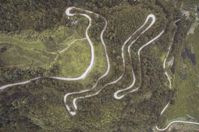 Aerial view of winding road