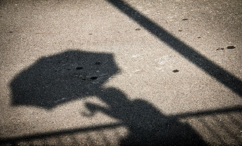 Shadow of people on road