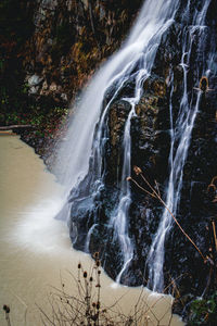 Low angle view of waterfall in forest