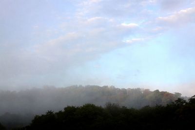 Scenic view of trees against sky during foggy weather