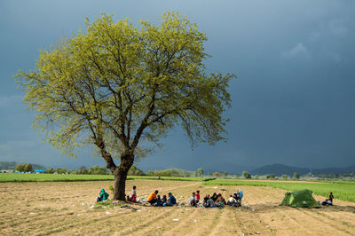 People sitting under tree on landscape