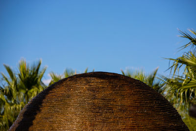 Low angle view of plants against clear blue sky