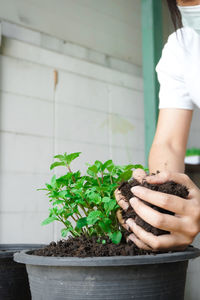 Midsection of woman holding potted plant