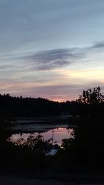 Silhouette of trees at sunset