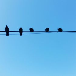Low angle view of lamp post against clear blue sky