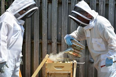 People working on beehive by wooden fence