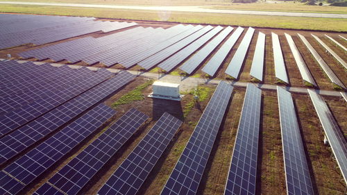 High angle view of plants growing on farm