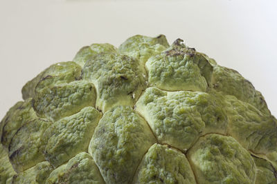 Close-up of bread against white background