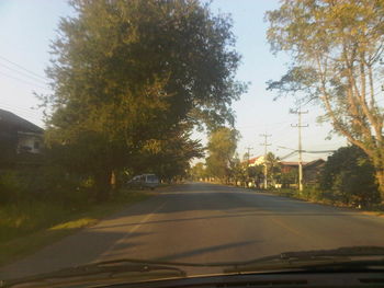 Road passing through trees