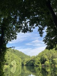 Scenic view of lake amidst trees in forest against sky