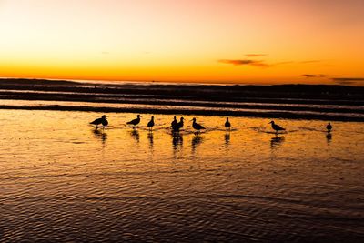 Silhouette people on beach against sky during sunset